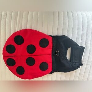 Adorable Red and Black Ladybug Dog costume